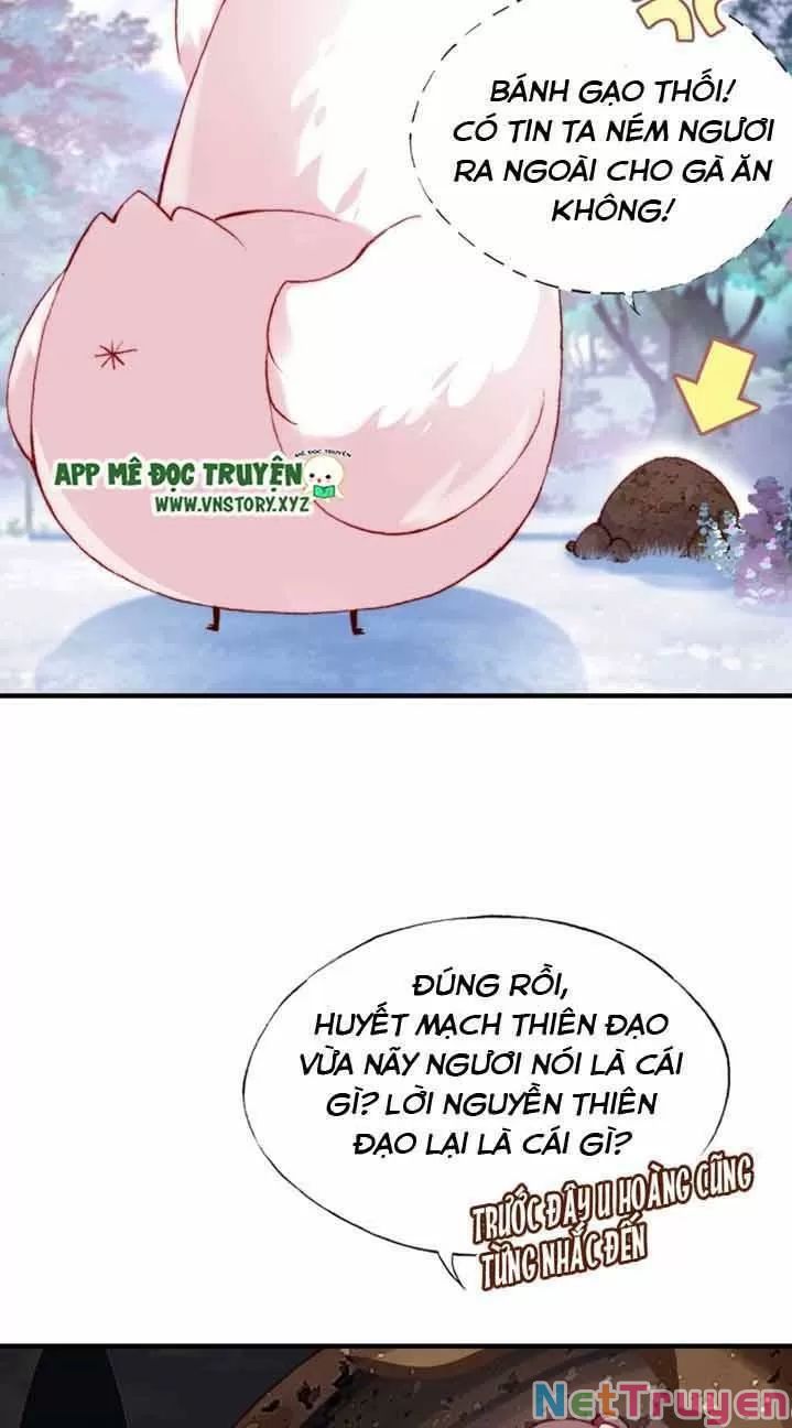 lại bị bệnh chiều chuộng quấn lấy chapter 13 22