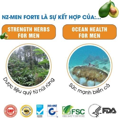 Viên uống Sinh lý Nam NZ - MEN FORTE Bổ thận, tráng dương, tăng cường sinh lý nam , mạnh tinh trùng.