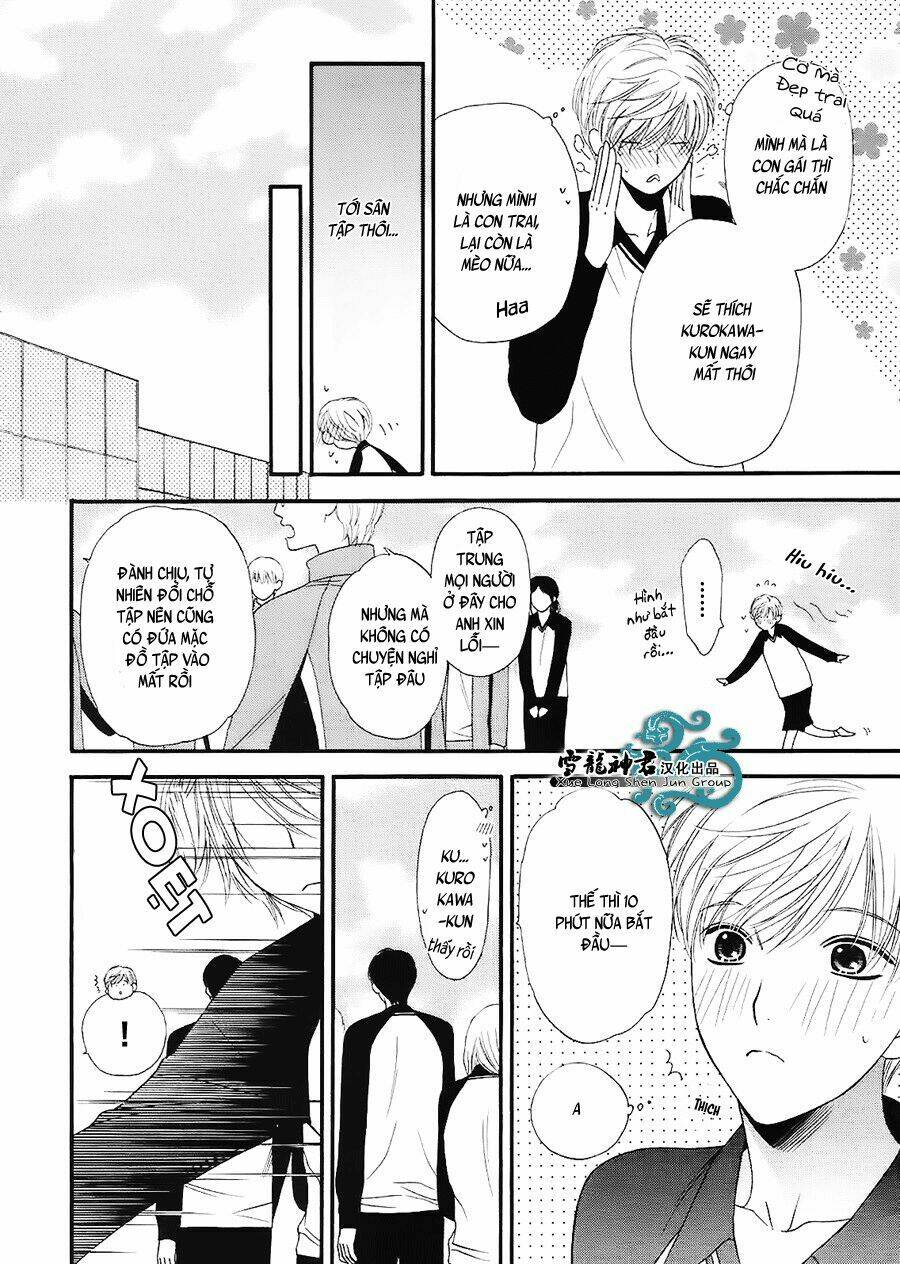 neko neko honey chapter 7 31