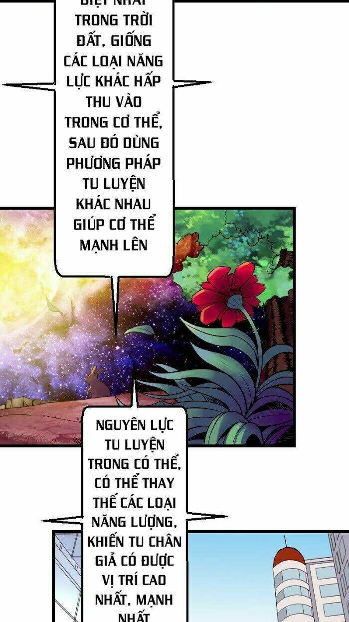 ngưu thư cung ứng thương chapter 55 11