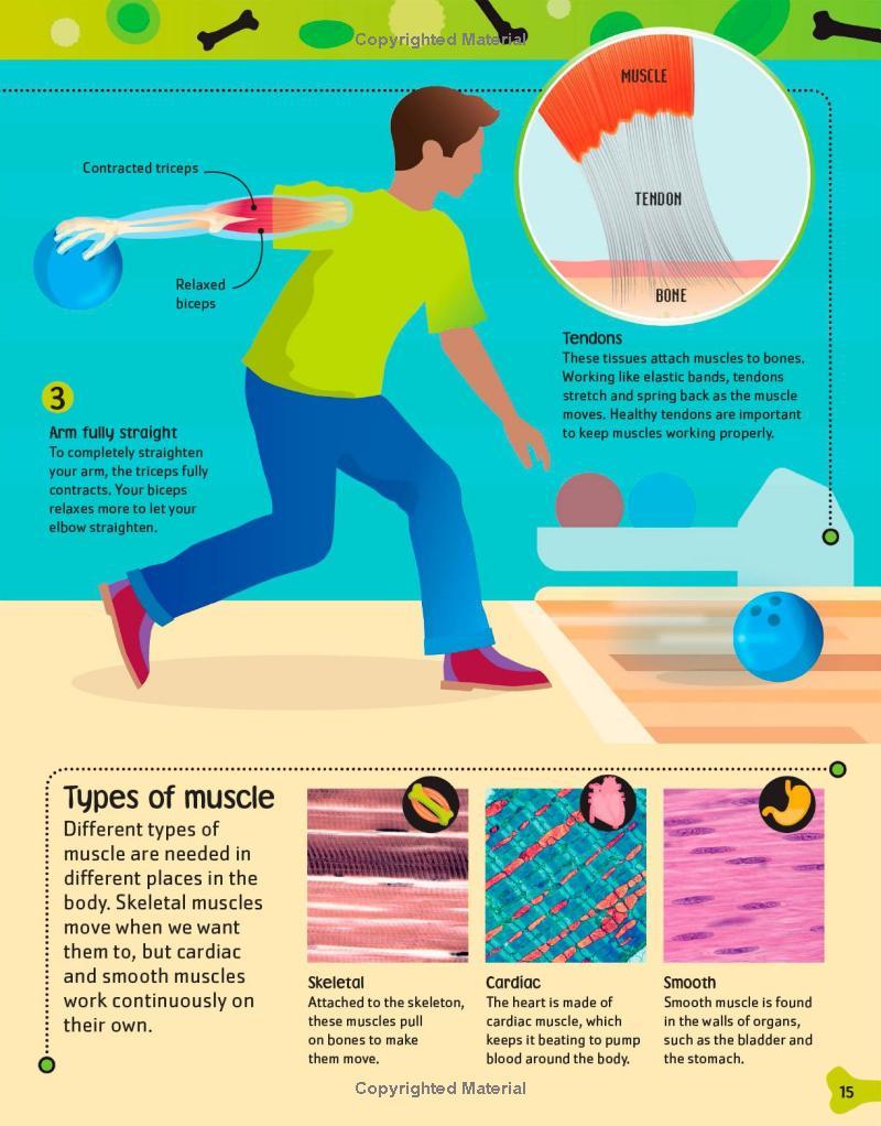 Sách ngoại văn: The Body Book