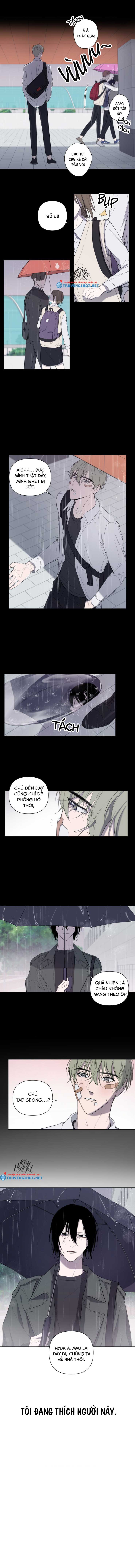 Người Tình Bé Nhỏ chapter 1 - Trang 3