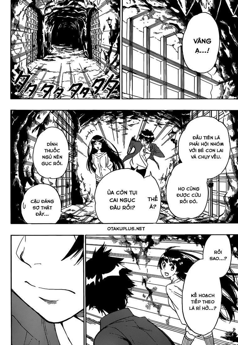 nisekoi - tình yêu giả tạo chapter 187 19