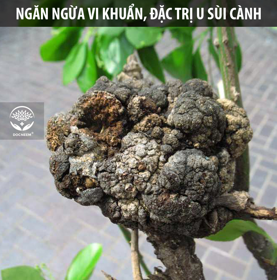 Nano bạc DOCNEEM nguyên chất trị nấm, vi khuẩn, virus cho cây hoa hồng, phong lan, trầu bà, monstera,  cây cảnh trong nhà và ngoài trời, hàng chính hãng, chai 500ml