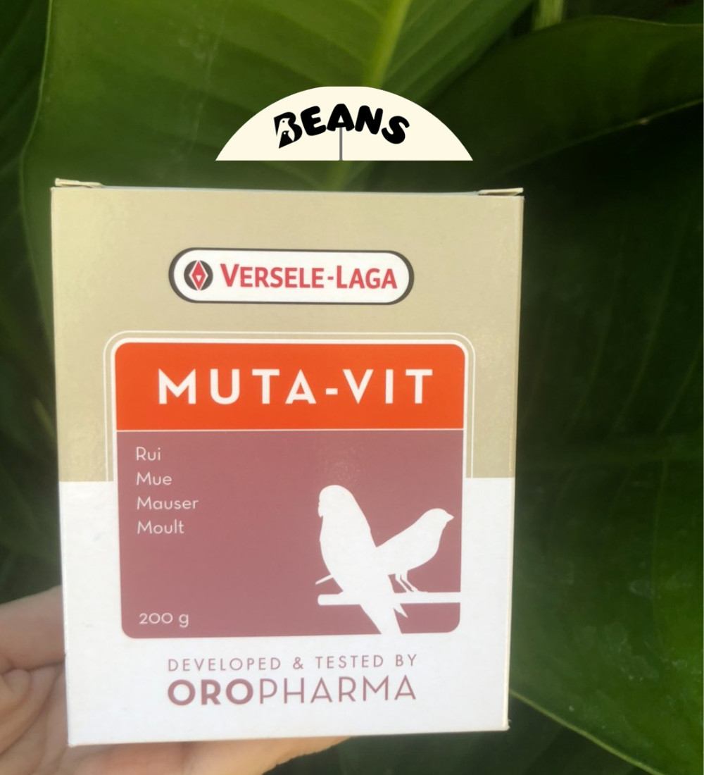 Vitamin hỗ trợ thay lông cho chim cảnh Mutavit dạng bột hàng nhập Bỉ