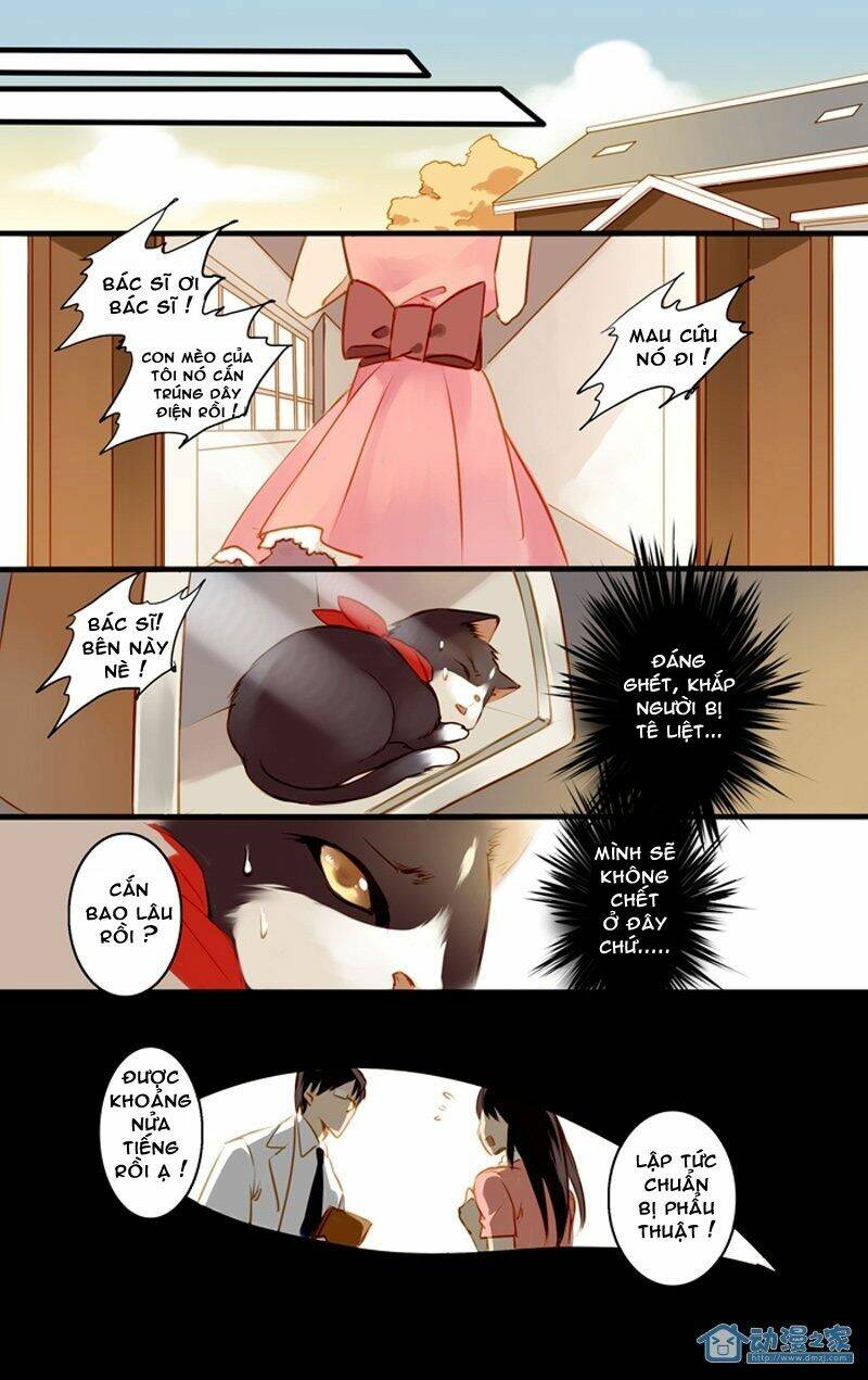 hằng mộng nam thần chapter 22 19