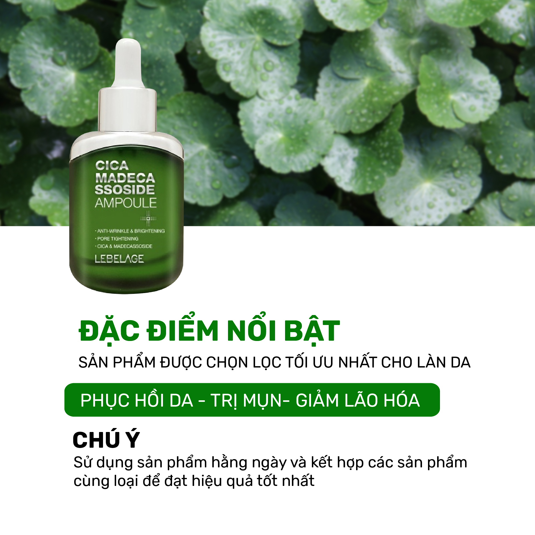 [11.2024] Tinh Chất Rau Má Hỗ Trợ Giảm Mụn Và Làm Dịu Dành Cho Da Nhạy Cảm Lebelage Cica Madecassoside Ampoule 35ml