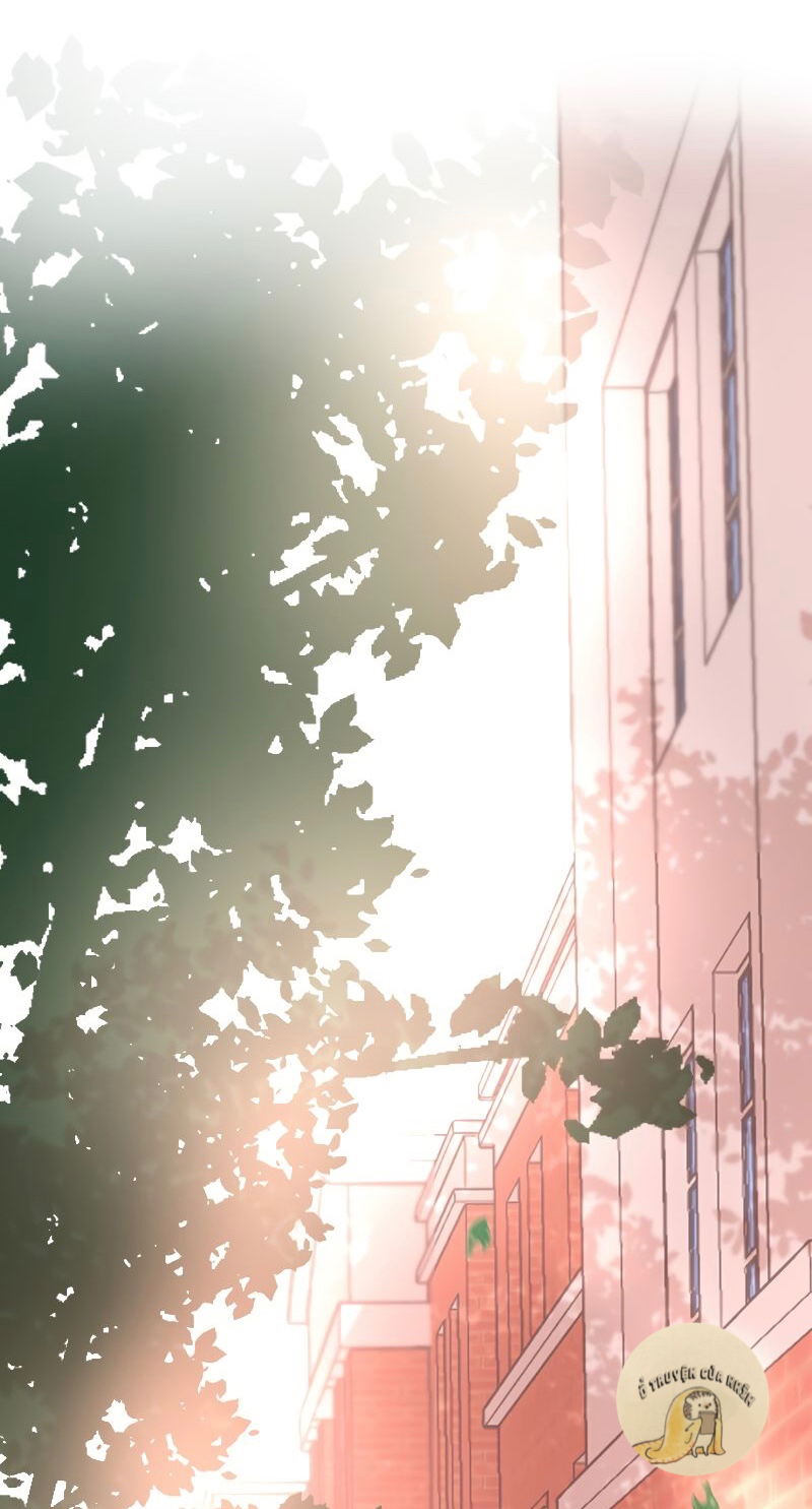 mù quáng vì yêu anh chapter 9 6