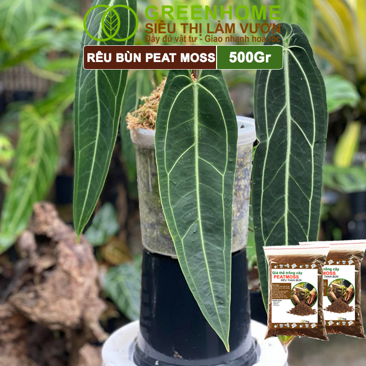 Rêu Than Bùn Peatmoss Greenhome, Bao 500gr, Giá Thể, Cân Bằng Ẩm, Trộn Đất Trồng Sen Đá, Kiểng Lá, Hoa Hồng, Ươm Hạt Giống