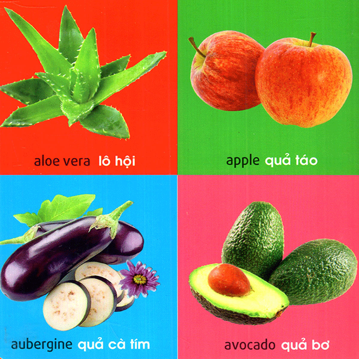 101 First Words - Plants  _ML