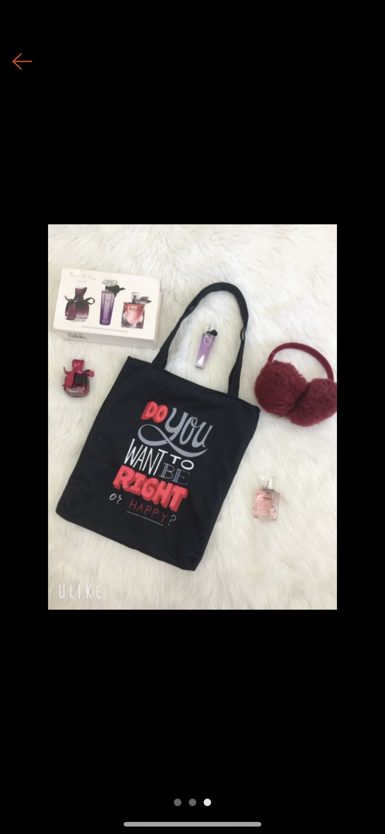 Túi tote - DO YOU WANT TO NE RIGHT