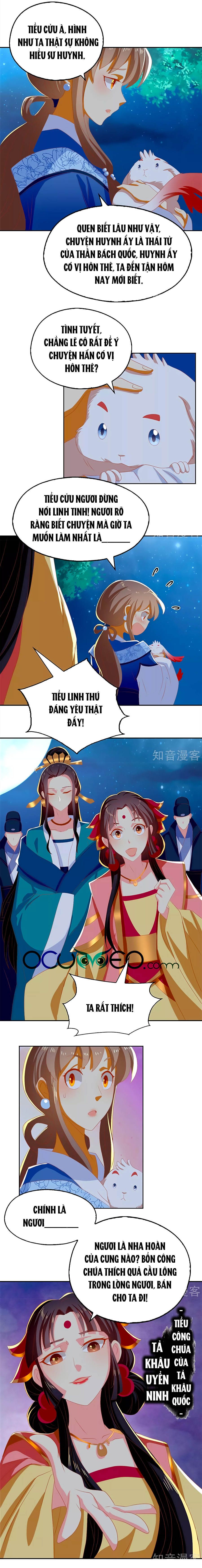 Khuynh Thành Cuồng Phi Của Tà Vương chapter 79 - Trang 5