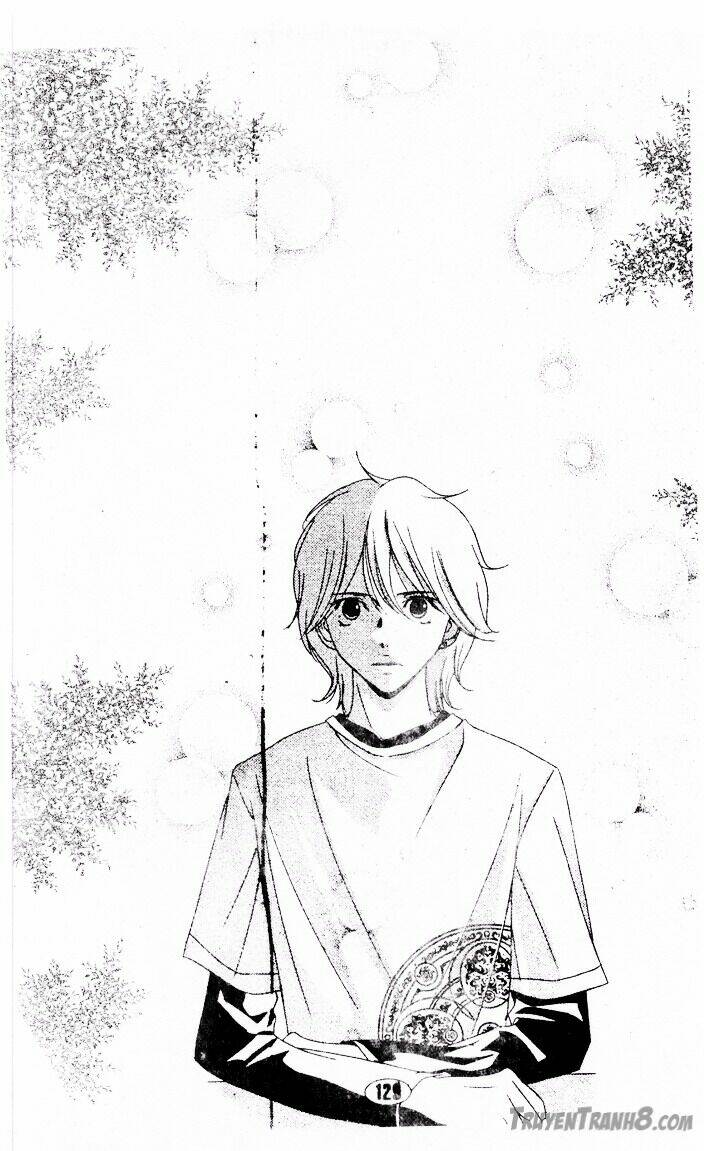 hôn cánh hoa yêu chapter 11 13