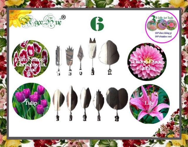 COMBO 2 BỘ Dụng cụ kim làm rau câu 3D 10 kim Ngọc Huệ