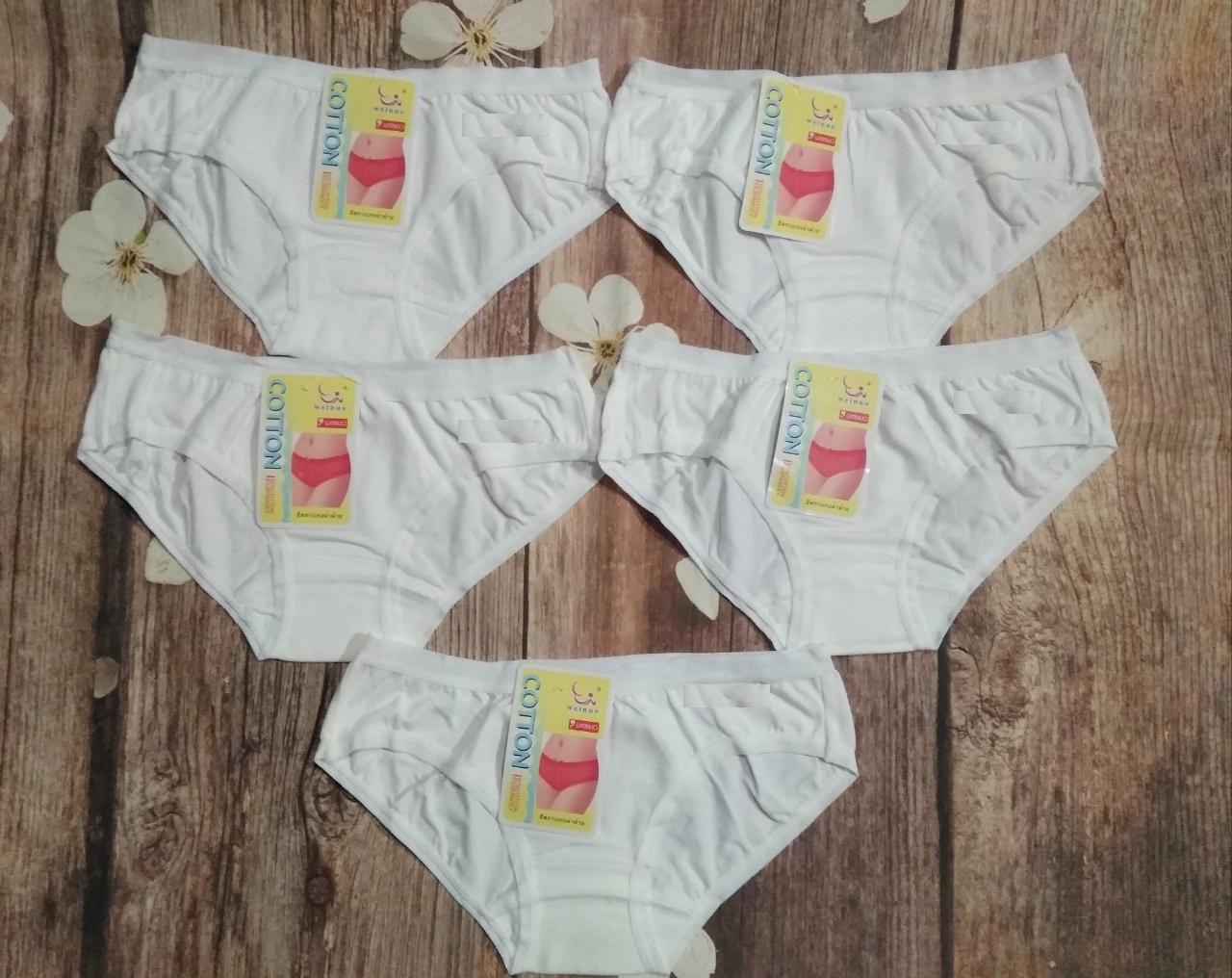 Combo 5 quần lót học sinh cotton thái màu trắng form nhỏ