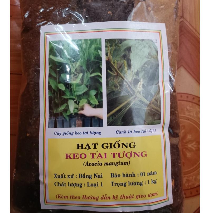 Hạt giống keo tai tượng úc trồng rừng, túi 50 gram