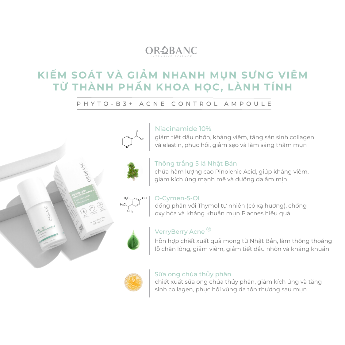 Tinh chất kiểm soát mụn và giảm nhanh mụn sưng viêm - Phyto-B3+ Acne Control Ampoule