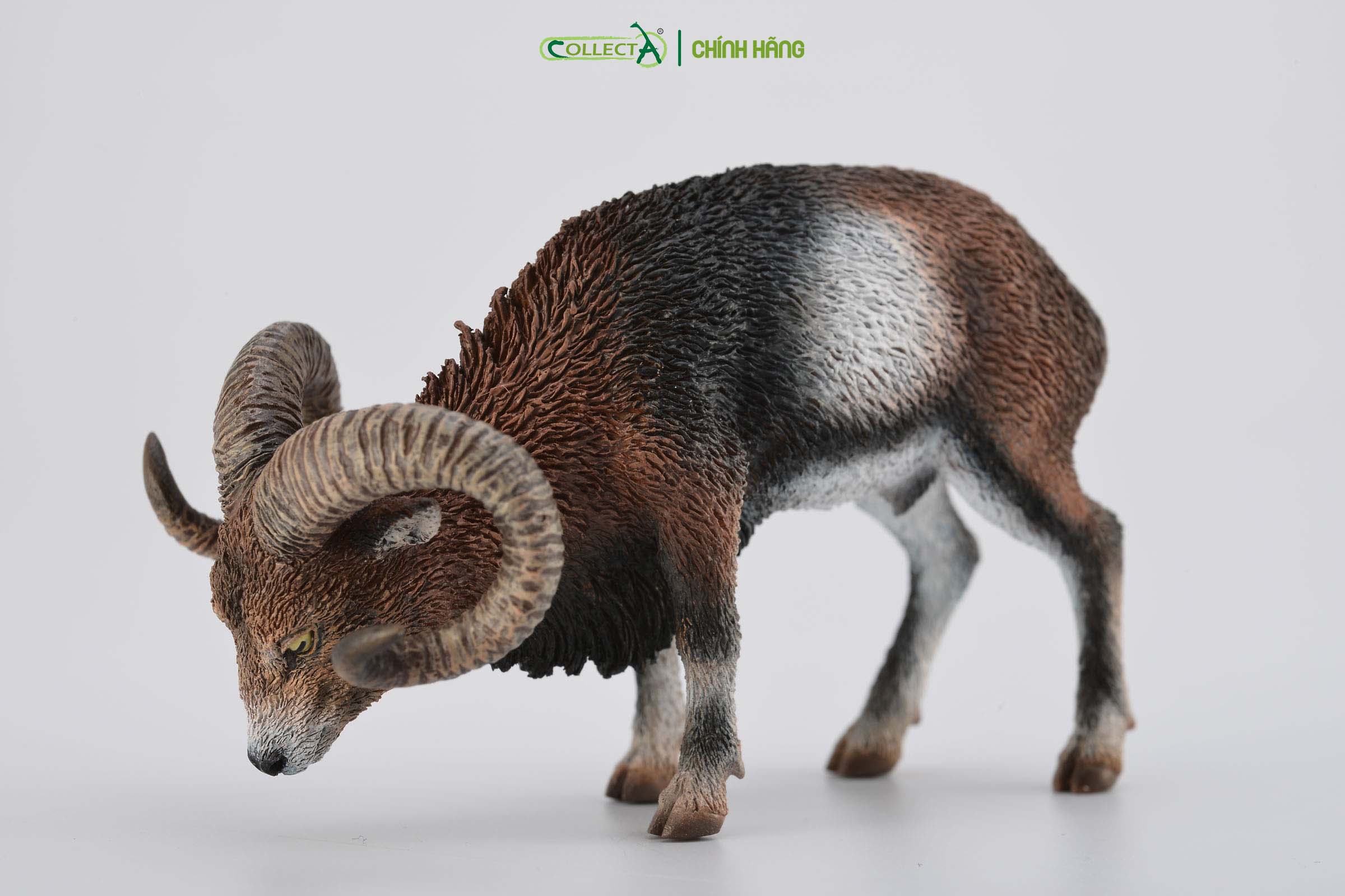 Mô hình thu nhỏ: Cừu Núi - European Mouflon, hiệu: CollectA, mã HS 9651360[88682] -  Chất liệu an toàn cho trẻ - Hàng chính hãng