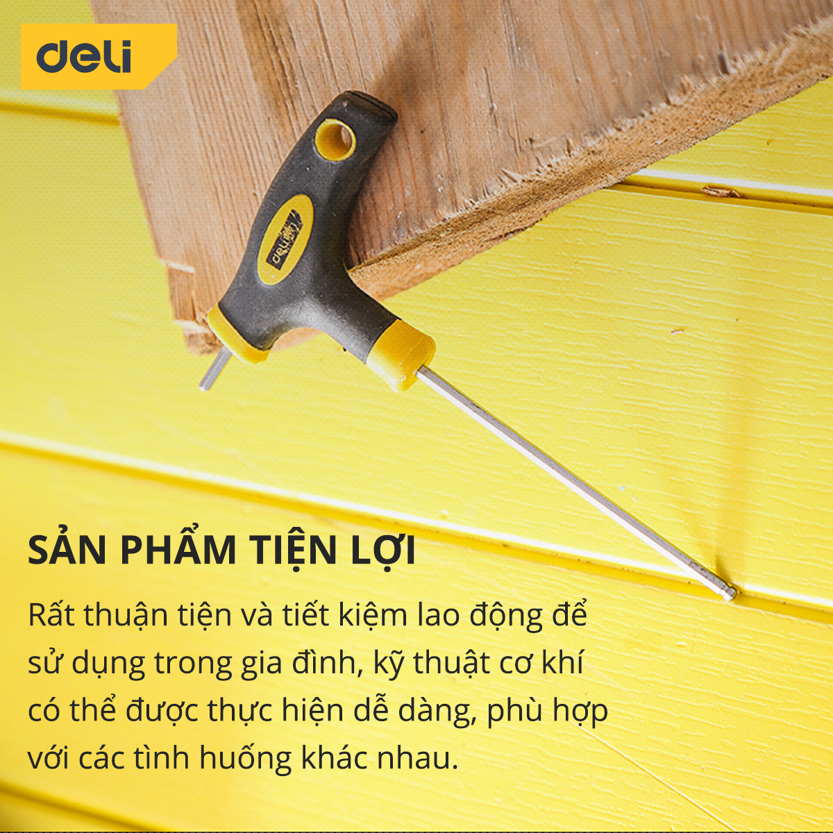 Tay Vặn Lục Giác Chữ T Deli Cao Cấp - Chất Liệu Chống Mòn, Gỉ - Dễ Dàng Sửa Chữa, Vặn Ốc Vít - DL2277