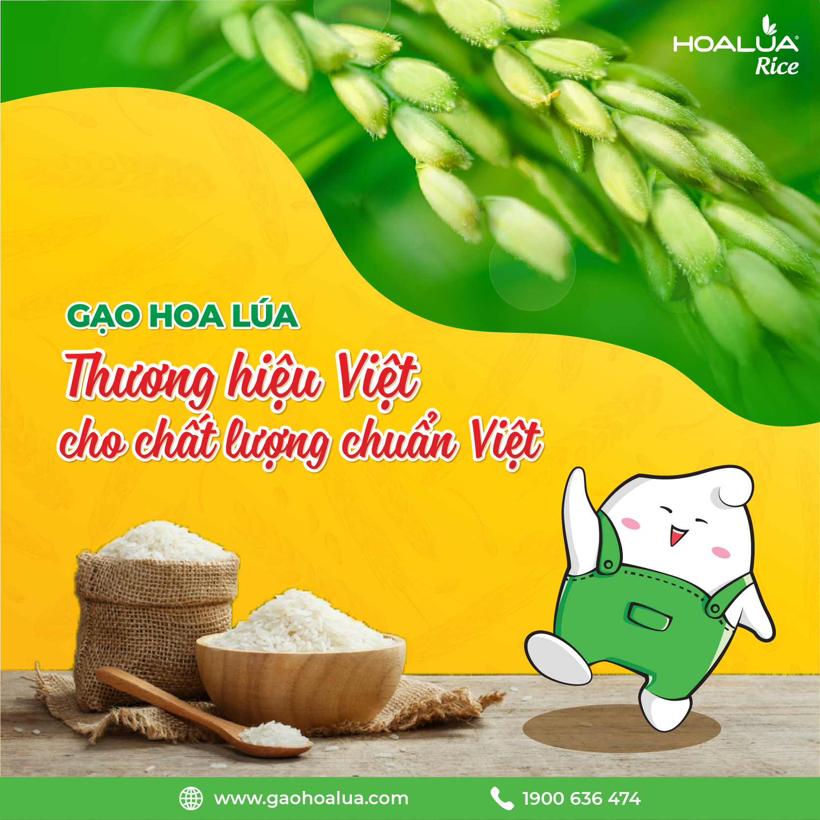 Gạo Tây Nam Bộ - Túi 5kg - Dẻo vừa, mềm cơm