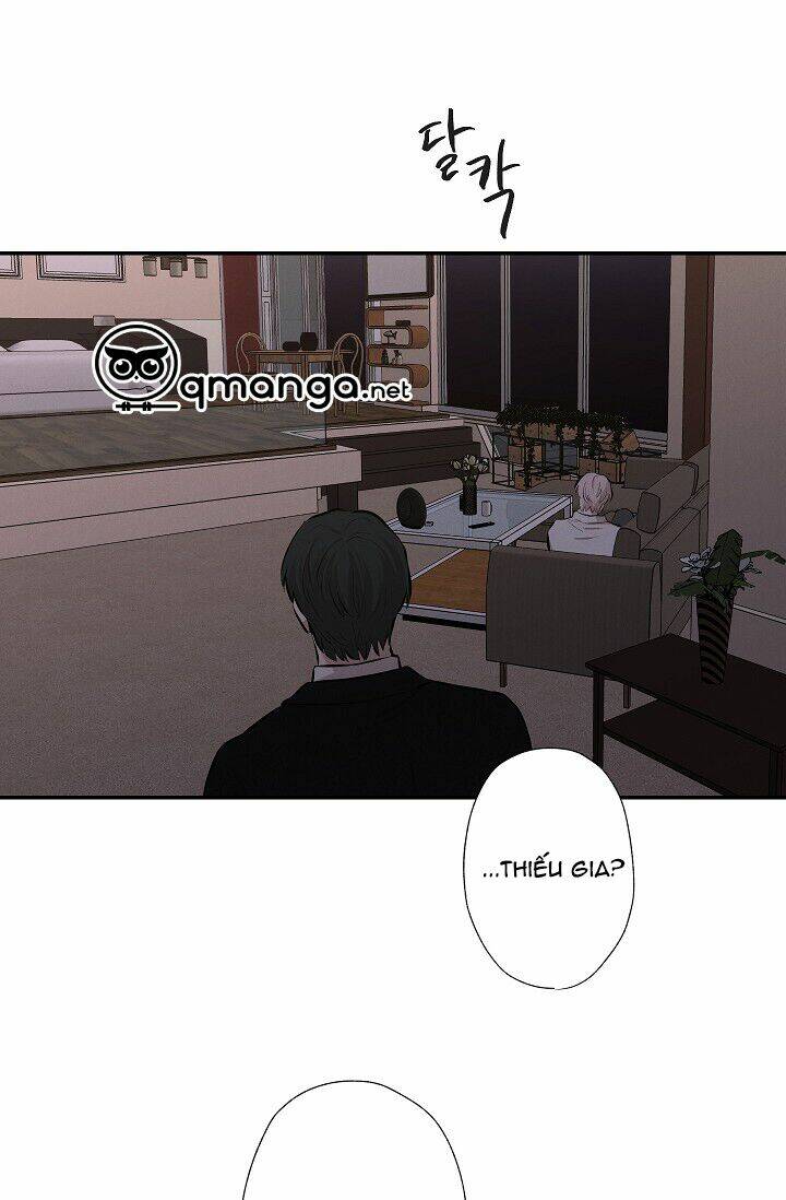 trốn tìm chapter 20 48