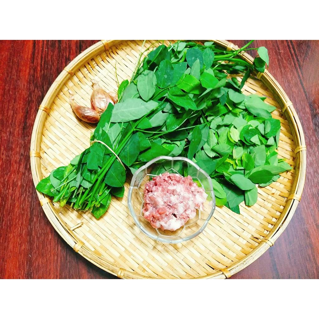 Hạt Giống Rau Bồ Ngót