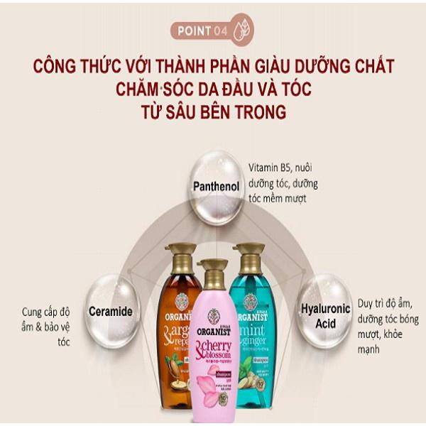 Bộ Đôi Dầu Gội Xả Organist chiết xuất từ Hoa Anh Đào Dành cho tóc Khô rối 550ml x2