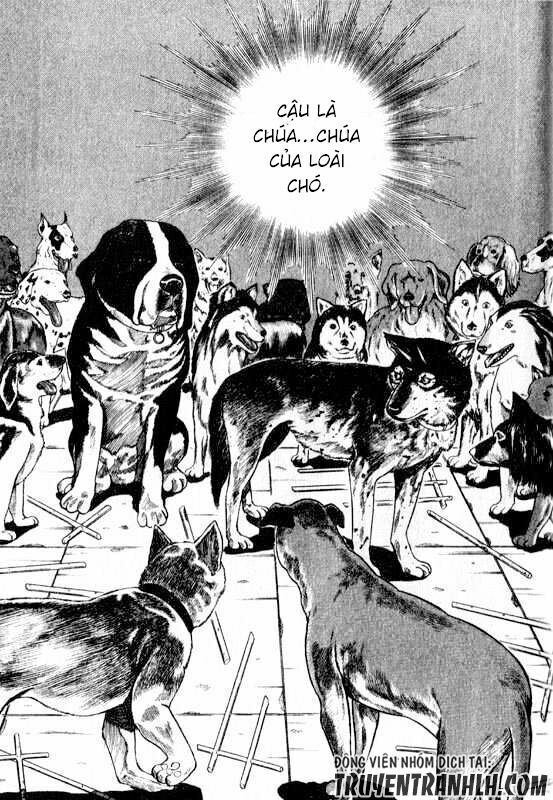 inugami chapter 13 8