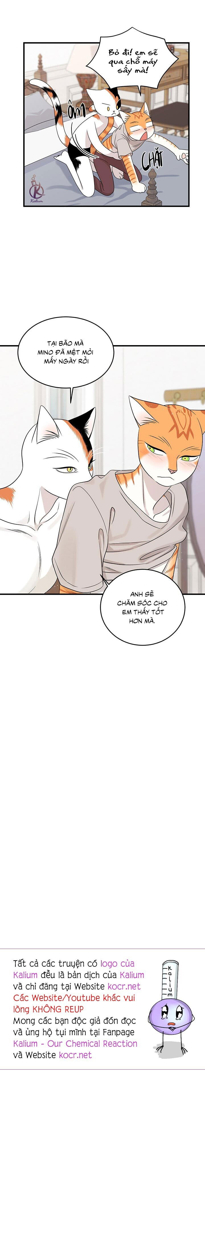 dự án xanh chapter 47 16