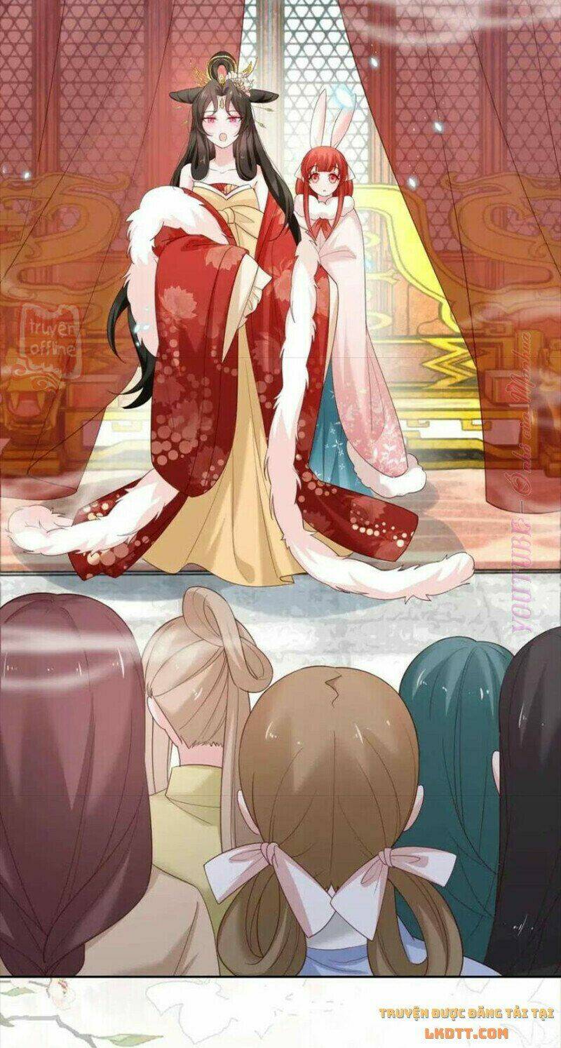 hắc hóa nam chính trực tuyến nuôi thỏ chapter 56 15