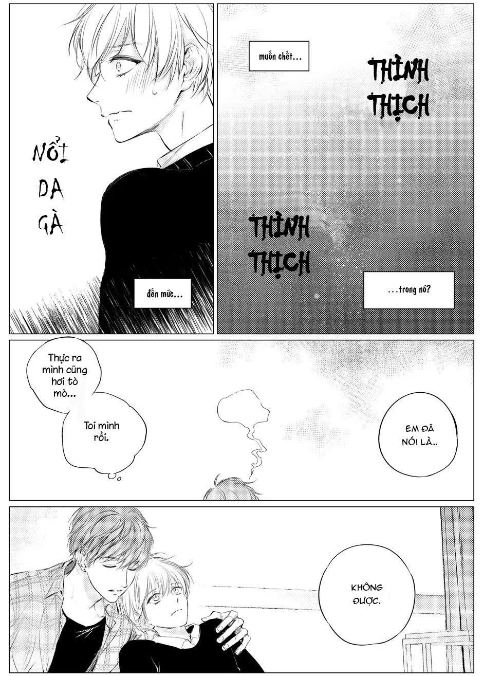 nóng nảy và dịu dàng chapter 3 14