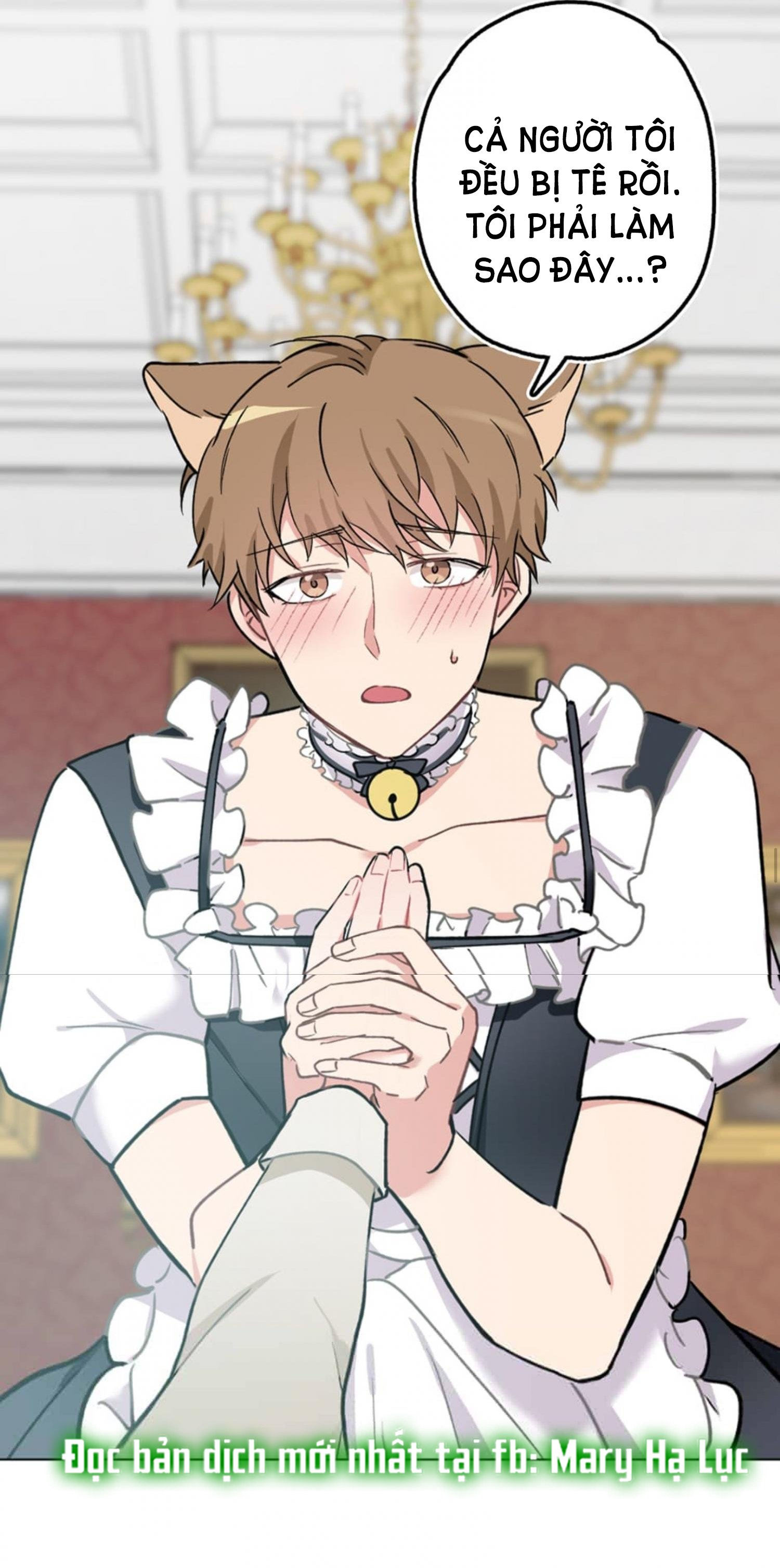 tiểu thư và dàn hầu nam mlem chapter 31 46