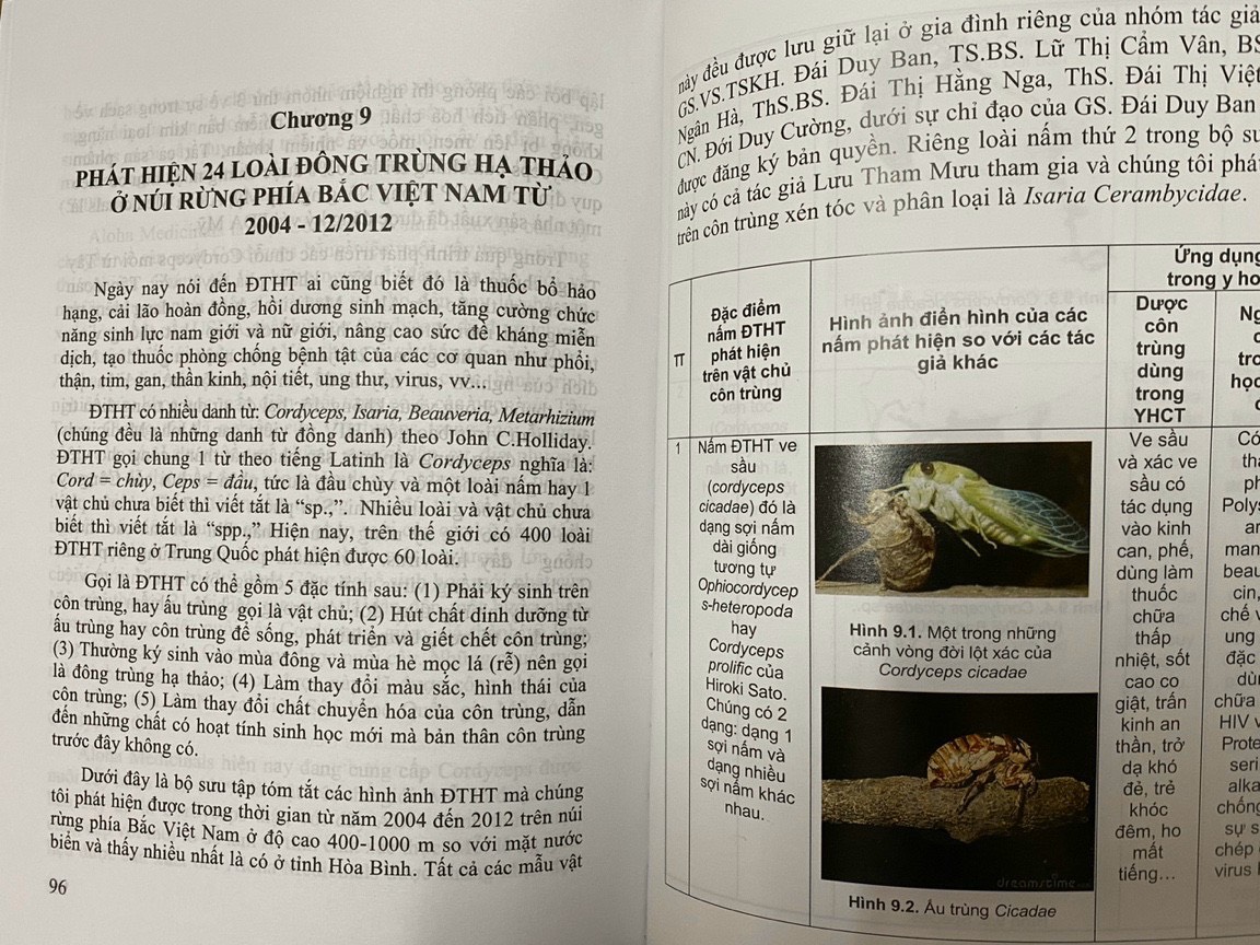 Đông Trùng Hạ Thảo - Một Dược Liệu Quý Hỗ Trợ Điều Trị Các Bệnh Virus, Ung Thư, HIV/AIDS, Đái Tháo Đường, Suy Giảm Tình Dục... Và Nghiên Cứu Phát Hiện Loài Đông Trùng Hạ Thảo Mới Ở Việt Nam