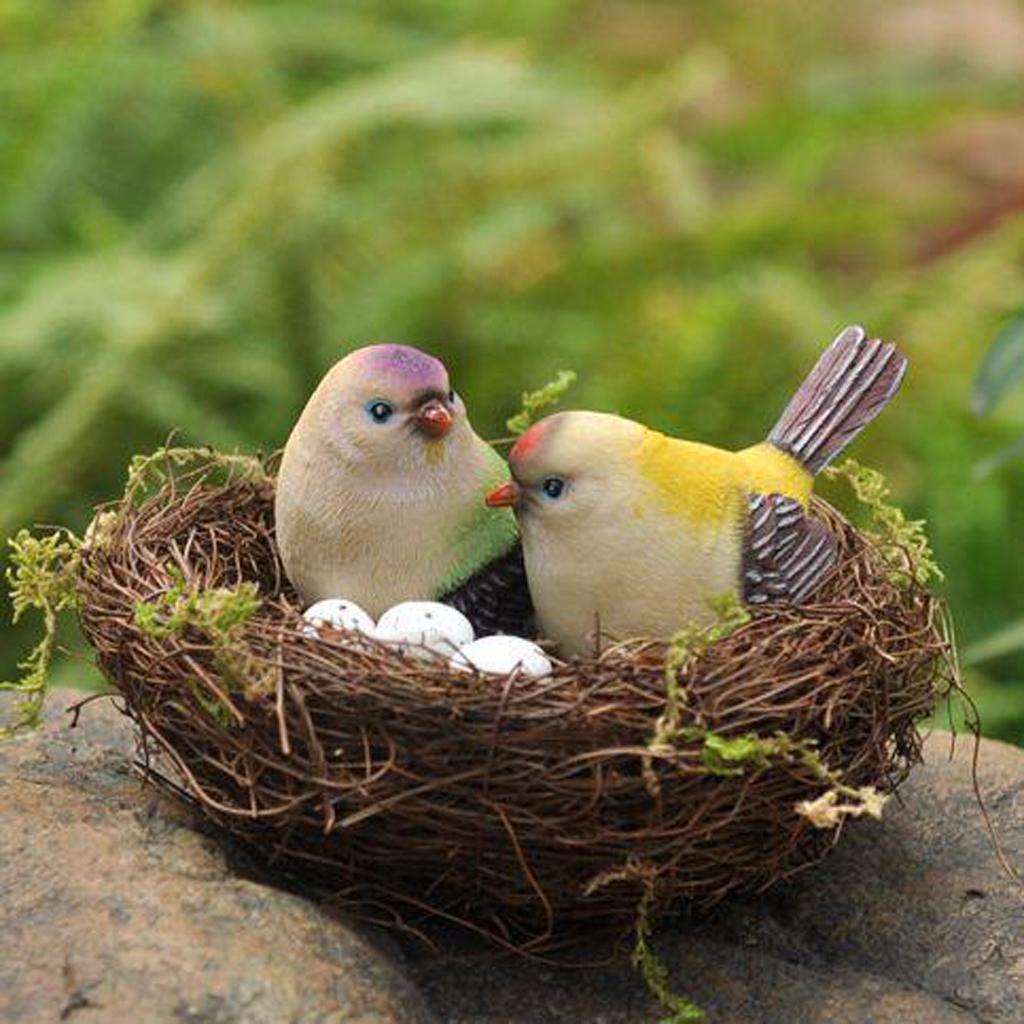 Tổ Chim Thủ Công Dùng Làm Phụ Kiện Chụp Ảnh Độc Đáo