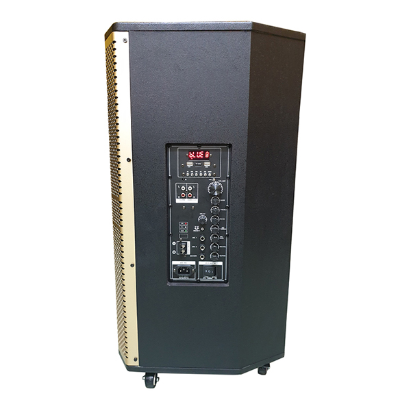 Loa karaoke di động Temeisheng ED-1506