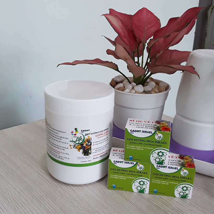 Bột cắm hoa cắt cành Longlife SG của Israel - Food For Cut Flower , giúp shop hoa bảo quản hoa tươi lâu và không thay nước, cắt tỉa gốc hay hạn chế thay hoa định kỳ theo tuần