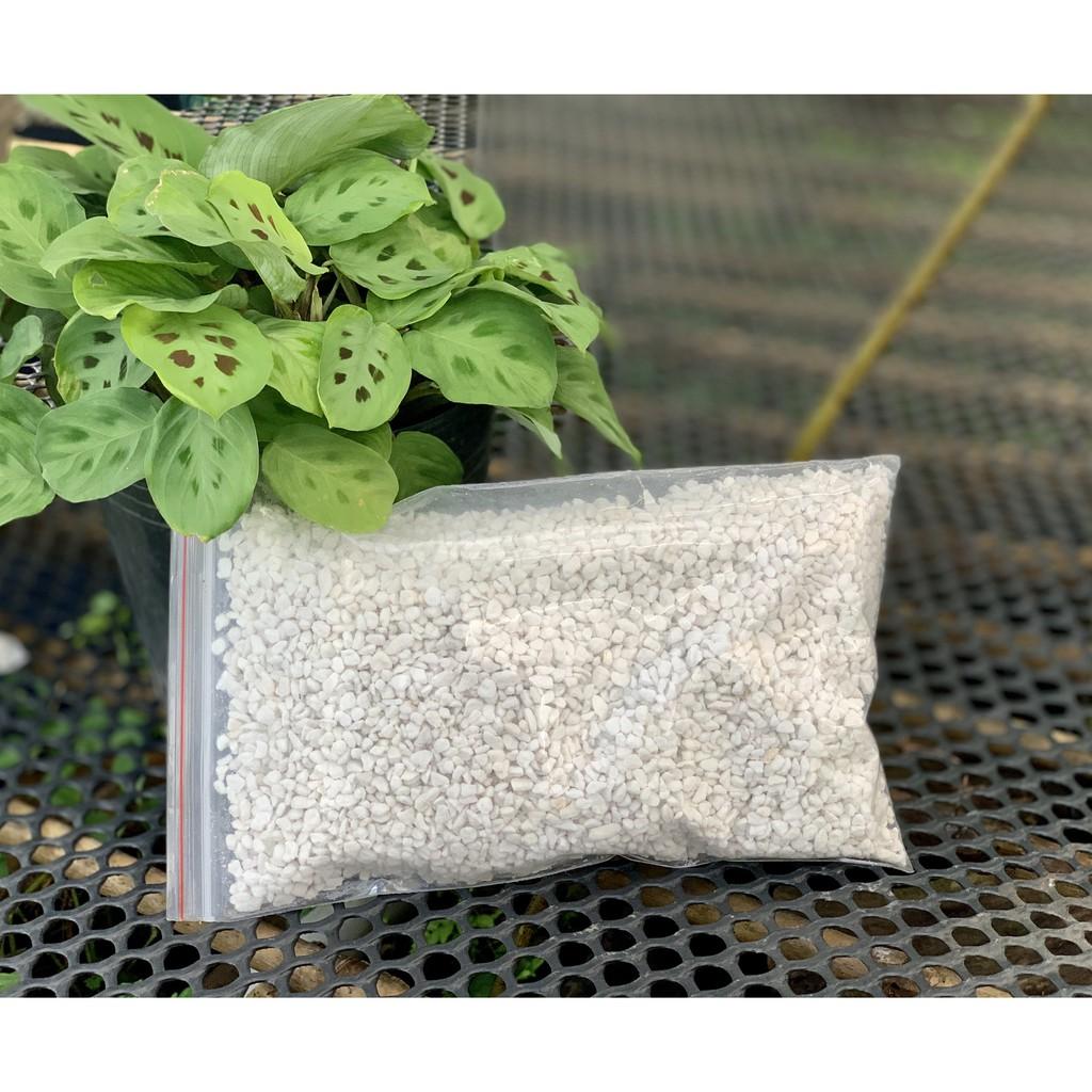 Đá perlite túi nhỏ 100gr tiện lợi - trồng sen đá
