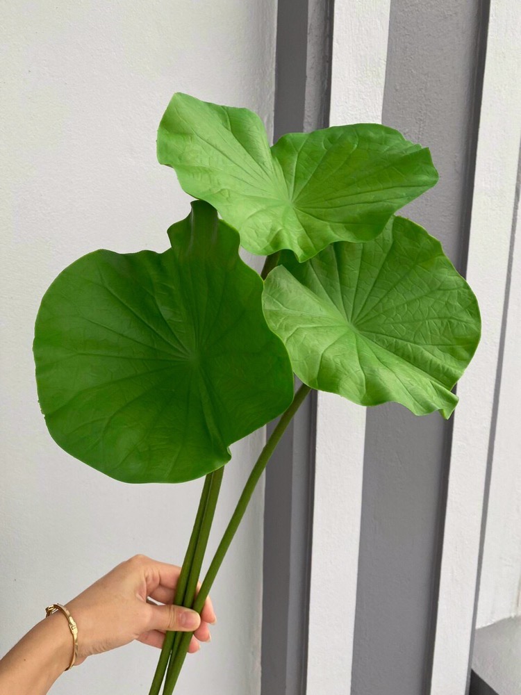 Hoa sen lụa,cành sen cao 60cm, cánh kép - cành hoa giả trang trí-Hoaluaminhhoa