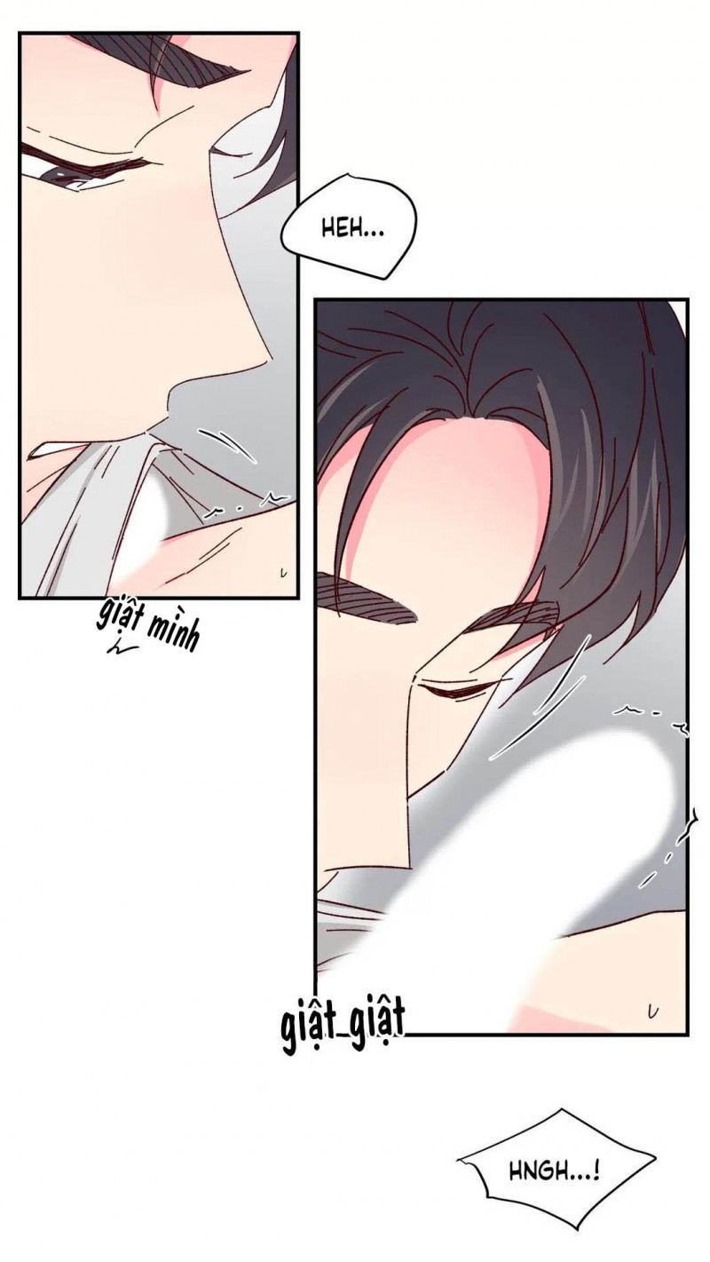 món tráng miệng của sếp tổng chapter 45 34