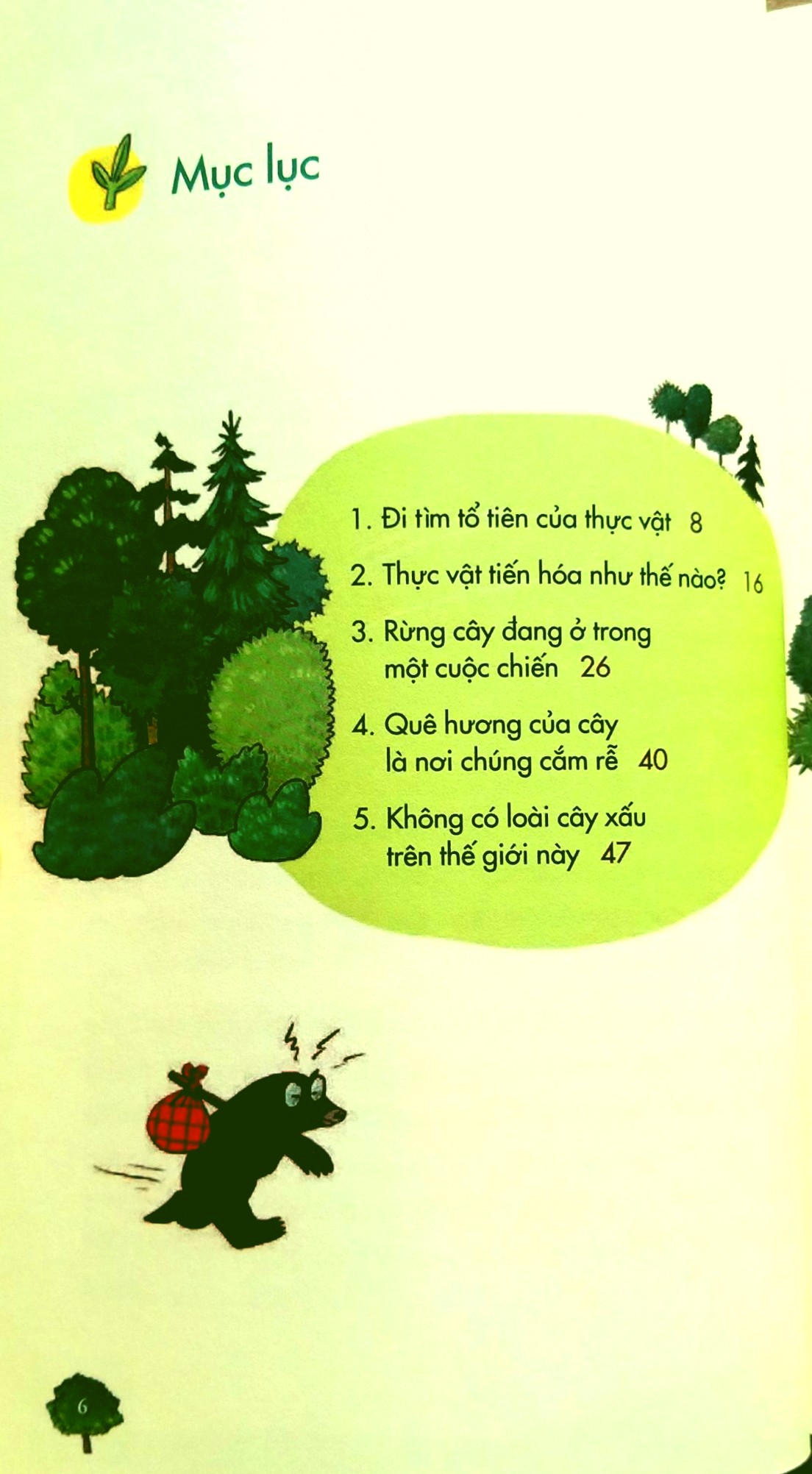 Cây Kể Chuyện Rừng