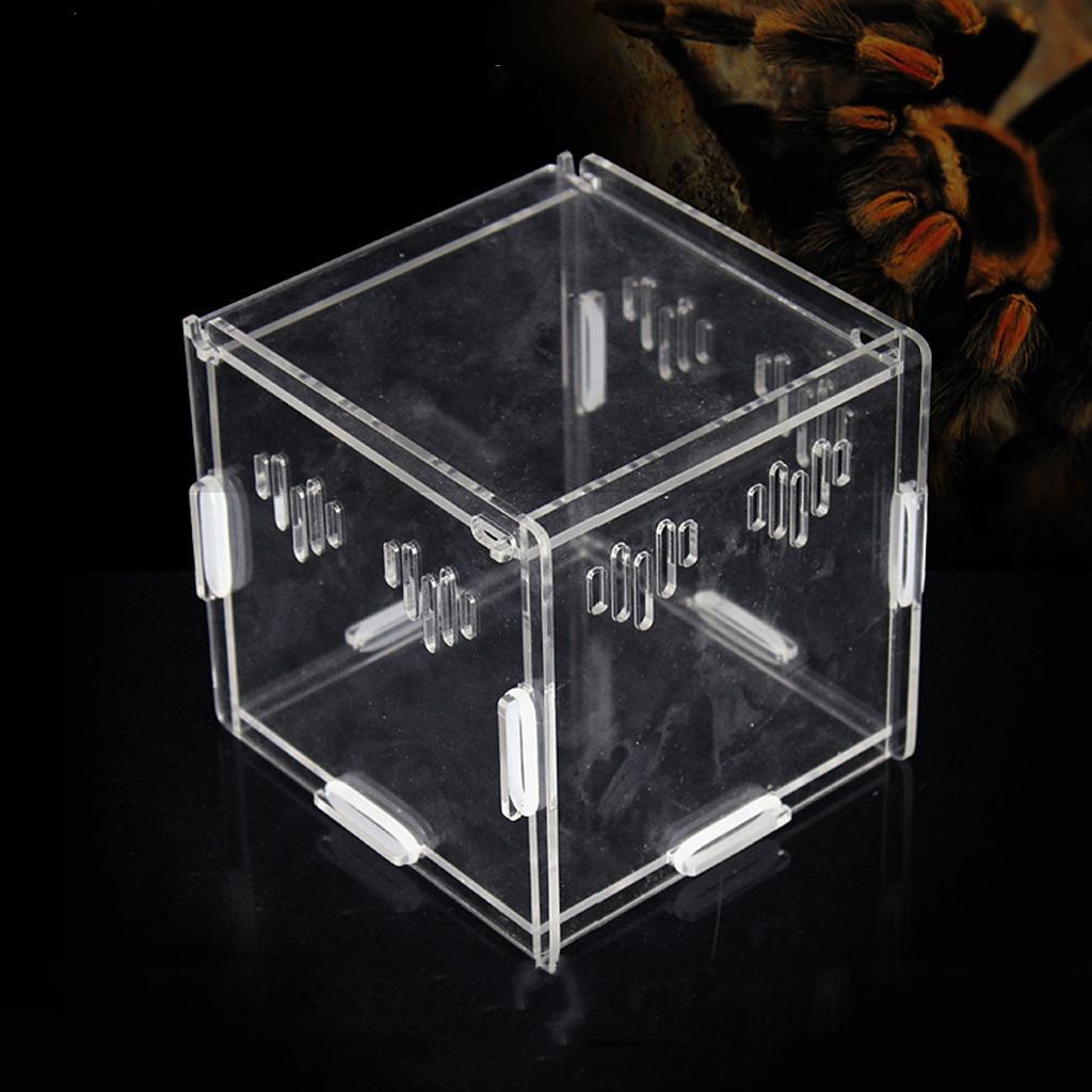 Acrylic Box Crawler Spider Scorpion Centipede Insect Feeding Insect Box - XS