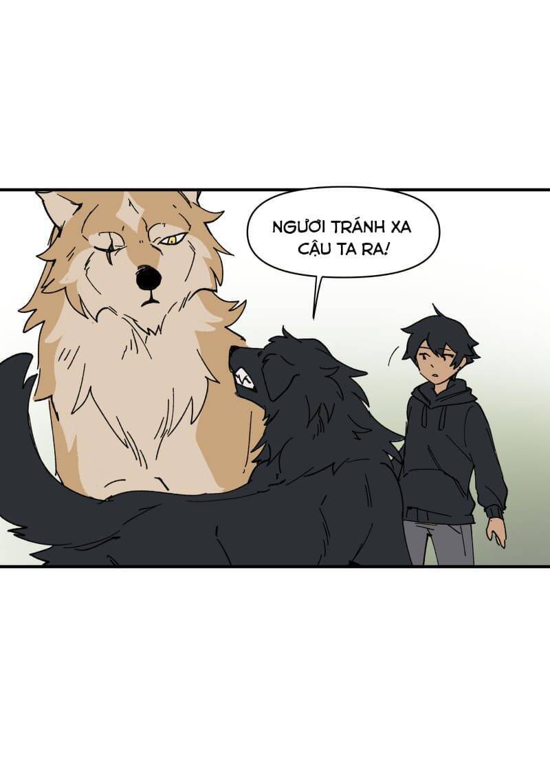 lumine - cội nguồn ánh sáng chapter 156 14