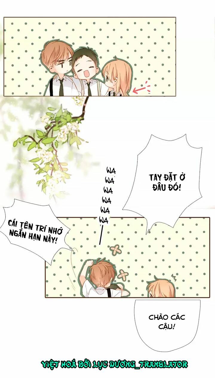 Tình yêu là màu hoa anh thảo chapter 32.1 9