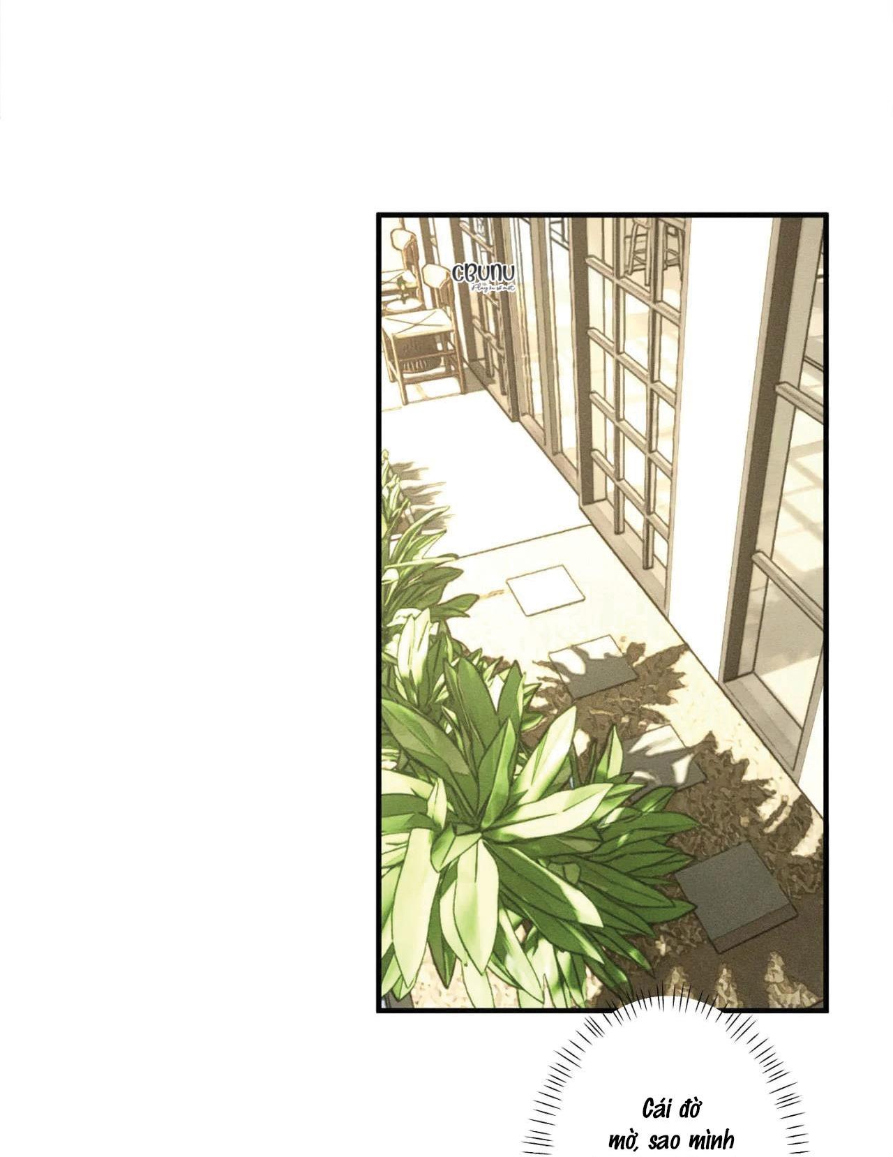 bẫy đôi ngọt ngào chapter 34 28