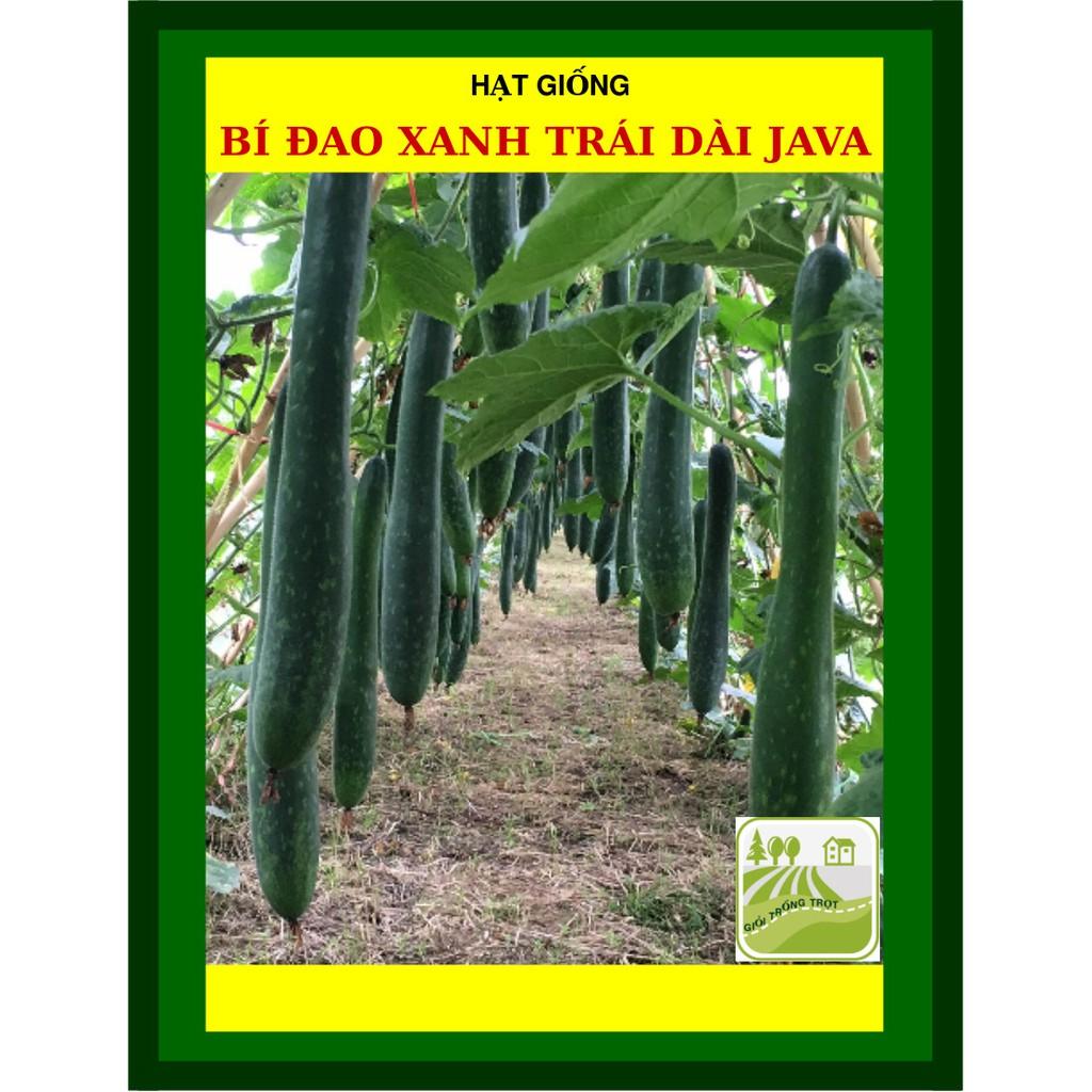 Hạt Giống Bí Đao Xanh Trái Dài F1 Java 0.2 Gram