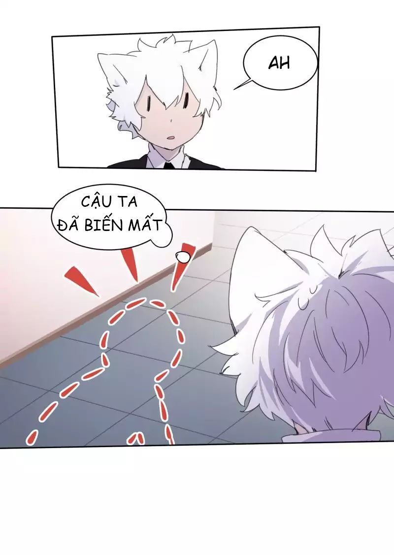 lumine - cội nguồn ánh sáng chapter 11 15