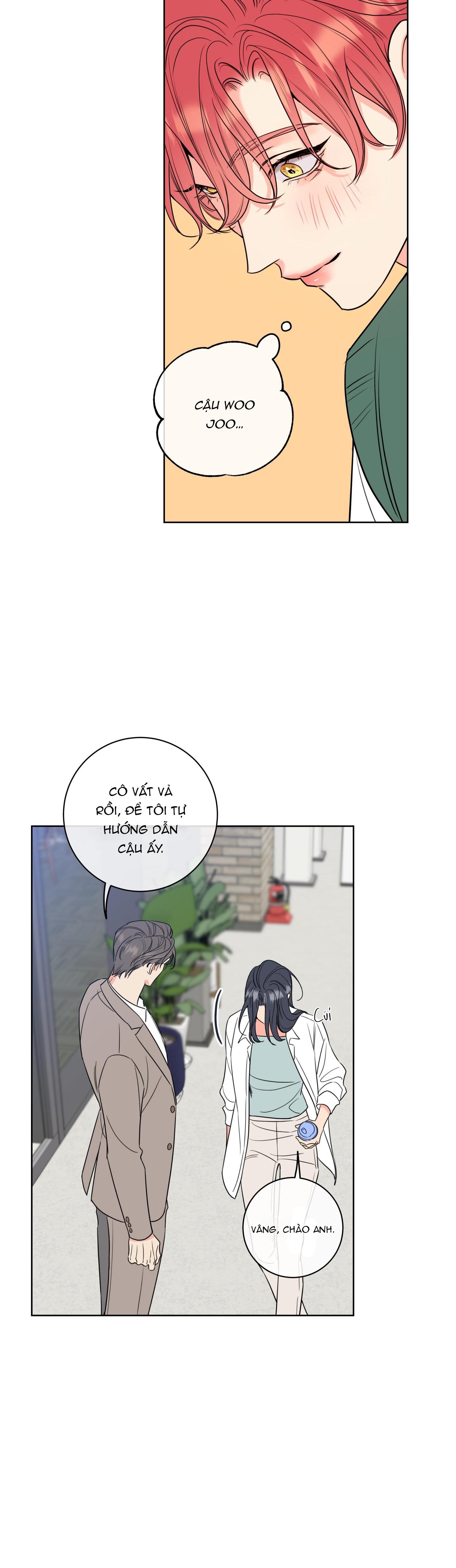 honey trouble - rắc rối ngọt ngào chapter 17 17