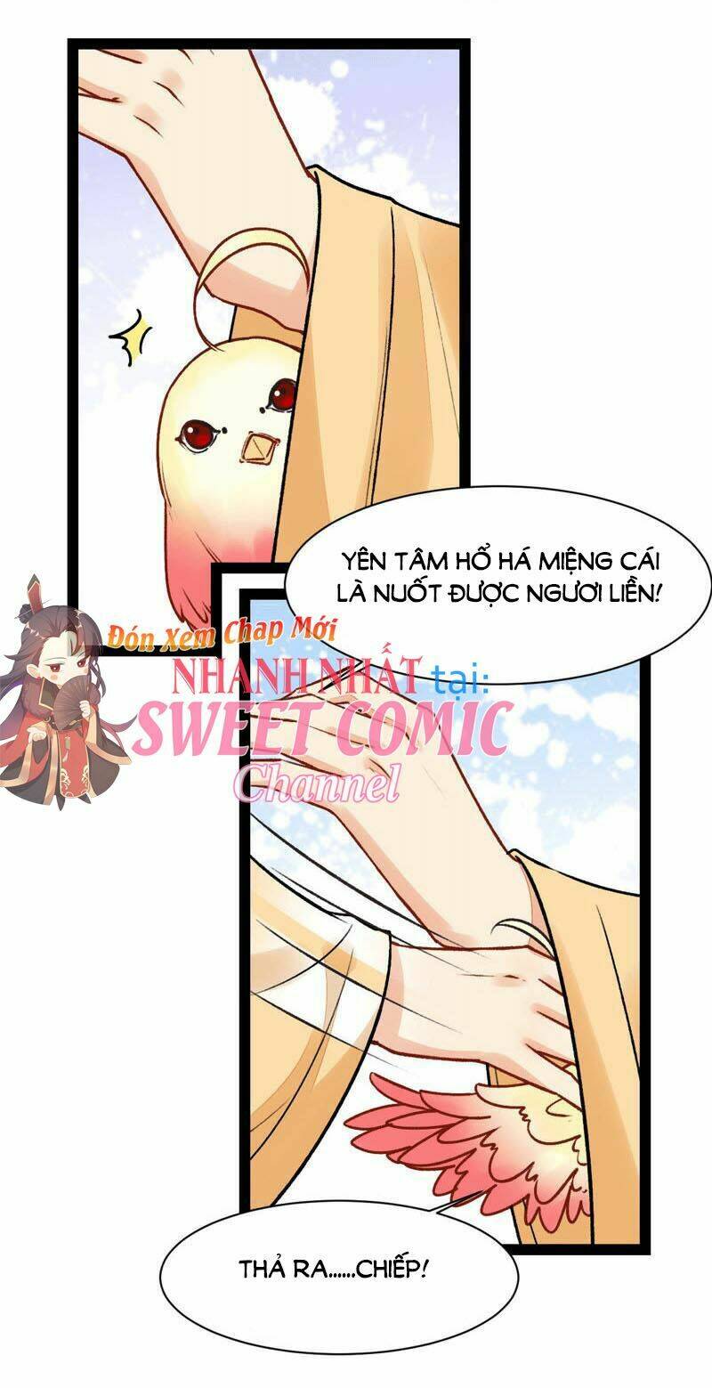 thịnh sủng kiều nữ trở về triều ca chapter 32 11