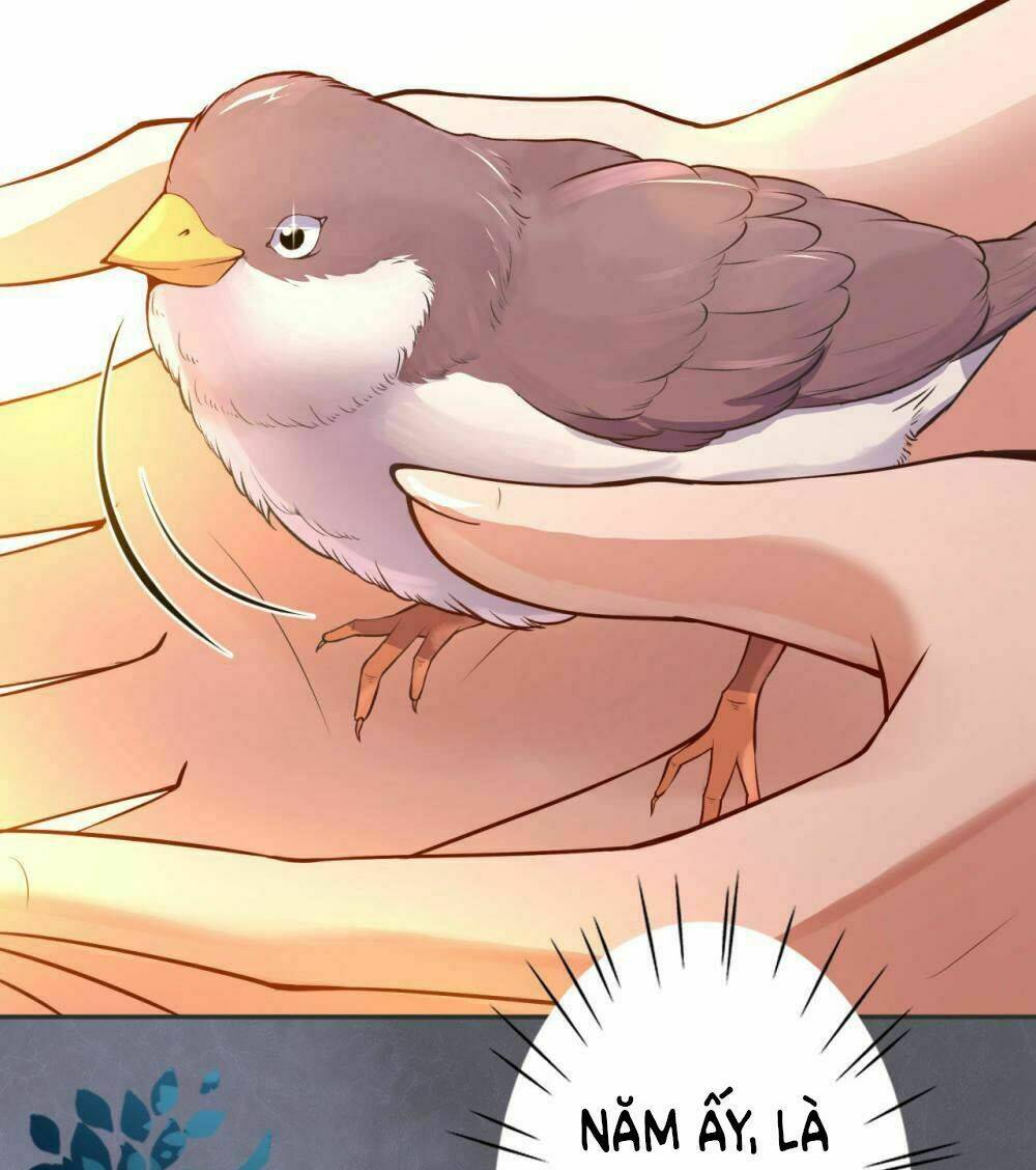 đô thị hộ hoa tiên tôn chapter 1 82