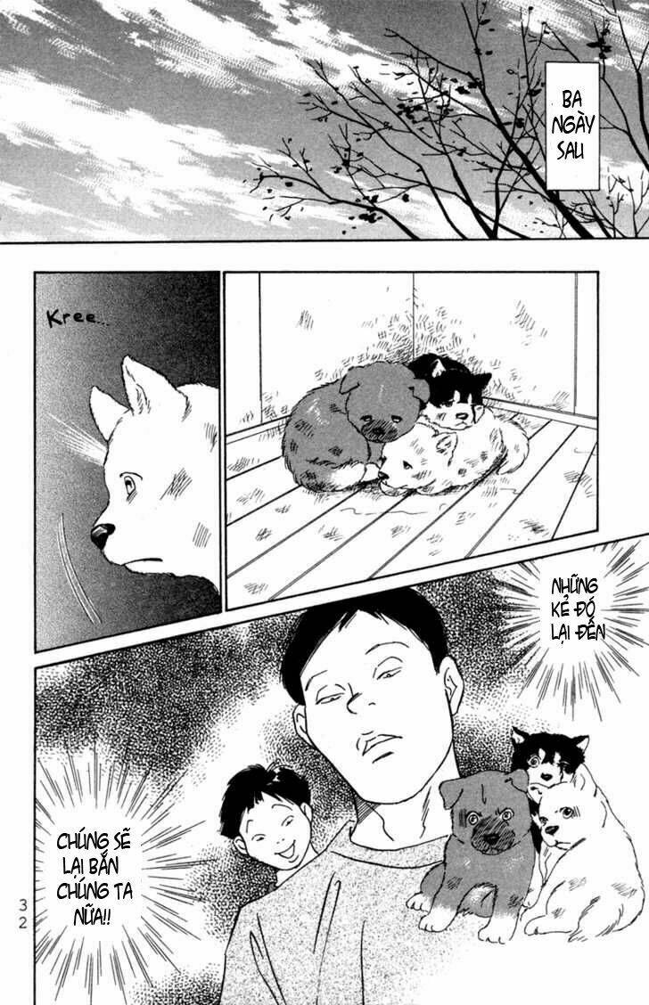 deep love - pao no monogatari chapter 1 35